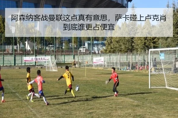a-sen-na-ke-zhan-man-lian-zhe-dian-zhen-you-yi-si-sa-ka-peng-shang-lu-ke-xiao-dao-di-shui-geng-zhan-pian-yi-2-933.jpg